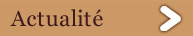 Actualité Grand charpentier couvreur Sens, Auxerre, Troyes, Provins, Fontainebleau, charpentier 89, 10, 77